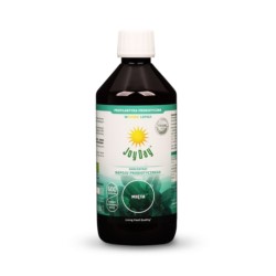Joy Day EKO Koncentrat Mięta 500Ml