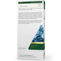 Medica Herbs Kwas Hialuronowy 40 k Medica Herbs Kwas Hialuronowy 40 k