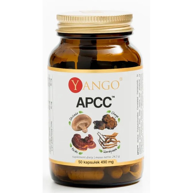 Yango APCC 50 k