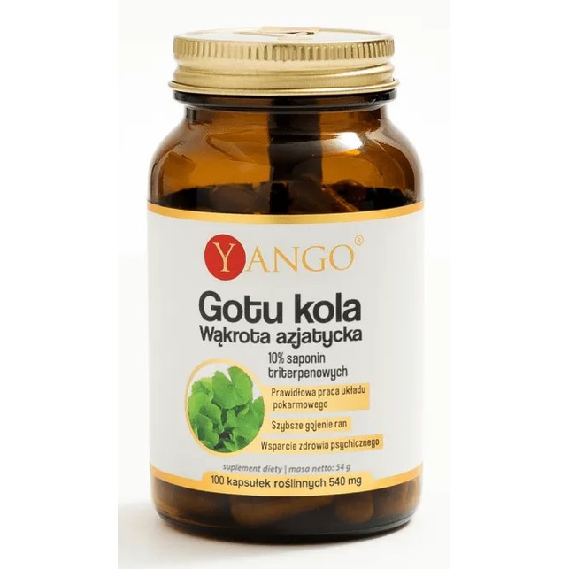 Yango GOTU KOLA 100 k Yango GOTU KOLA 100 k