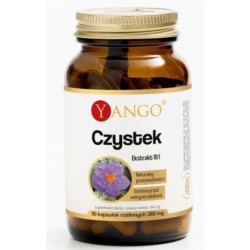 Yango Czystek 90 k