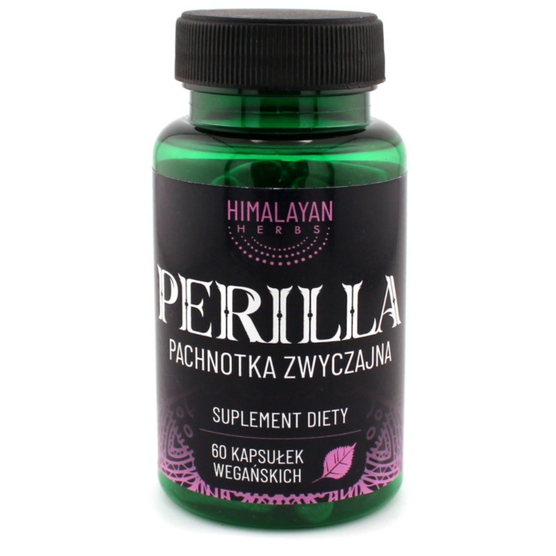 Himalayan Perilla Pachnotka zwyczajna 60 k Himalayan Perilla Pachnotka zwyczajna 60 k