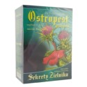 Asz Sekrety Zielnika Ostropest Plamisty 40X3G