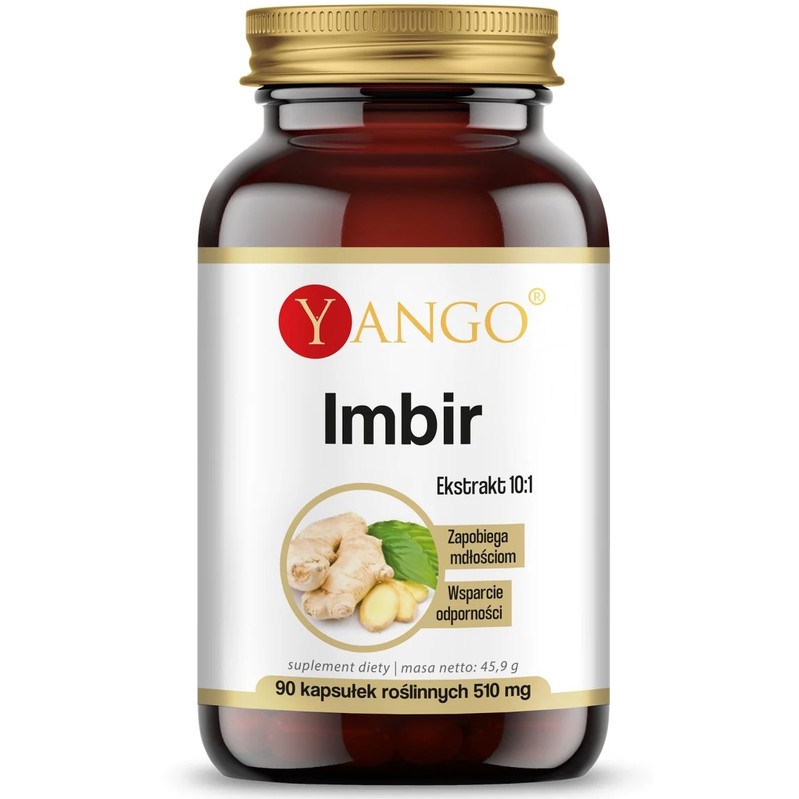 Yango Imbir Ekstrakt 10:1 90 K Yango Imbir Ekstrakt 10:1 90 K