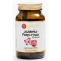 Yango Jeżówka purpurowa Echinacea 60 k