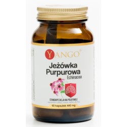 Yango Jeżówka purpurowa Echinacea 60 k