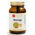 Yango Moringa 90 k