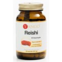 Yango Reishi 90 k odporność trawienie