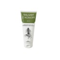 Gorvita Balsam Z Konopii 200 Ml stawy
