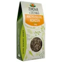 NW ARCYDZIĘGIEL KORZEŃ 100G