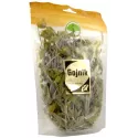 ASTRON GOJNIK PREMIUM 50G