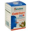 HIMALAYA COLD BALM 10GM