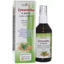 GORVITA ŻYWORÓDKA W PŁYNIE 115ML Z ALOESEM