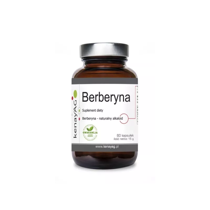 KENAY BERBERYNA 60 KAP KENAY BERBERYNA 60 KAP