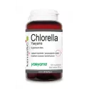 KENAY CHLORELLA 120 KAPSUŁEK