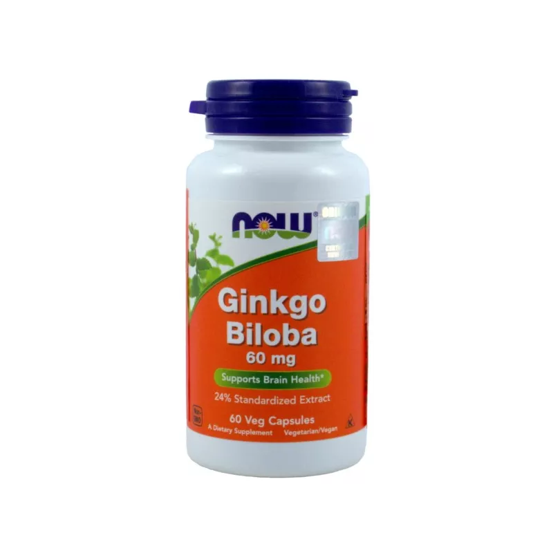 NOW FOODS GINKGO BILOBA 60MG, 60K
