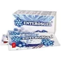 KK HERBAL ENTEROSGEL 10X15G SASZETEK