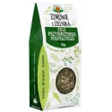 NATURA WITA ZIELE PRZYWTONIKA POSPOLITEGO 50G