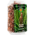 NATURA WITA PĄCZKI SOSNY 100G