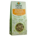 NATURA WITA RUSZCZYK KOLCZASTY 50G