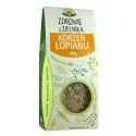 NATURA WITA KORZEŃ ŁOPIANU 100G
