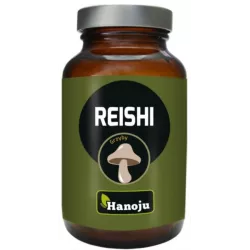 HANOJU REISHI EKSTRAKT 400MG 90 TABL.