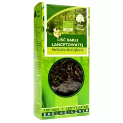 DARY NATURY BABKA LANCETOWATA LIŚĆ 25G EKO DARY NATURY BABKA LANCETOWATA LIŚĆ 25G EKO