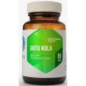 HEPATICA GOTU KOLA 90 KAP