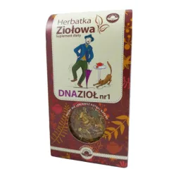 NATURA WITA HERBATKA NA DNĘ MOCZANOWĄ NR 2 80G