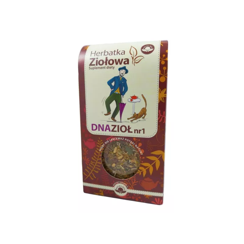 NATURA WITA HERBATKA NA DNĘ MOCZANOWĄ NR 2 80G