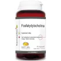 KENAY FOSFATYDYLOCHOLINA 60 KAPS.
