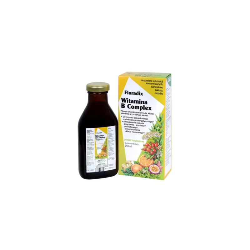 Zioło-Piast Floradix Witamina B Complex 250 ml Zioło-Piast Floradix Witamina B Complex 250 ml