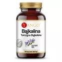 Yango Bajkalina 90 Kaps. 300Mg Tarczyca Bajkalska