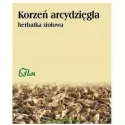 FLOS ARCYDZIĘGIEL KORZEŃ 50G