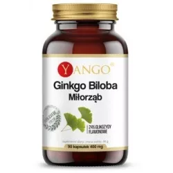Yango Ginkgo Biloba 310Mg 90 Kap.Miłorząb japoński