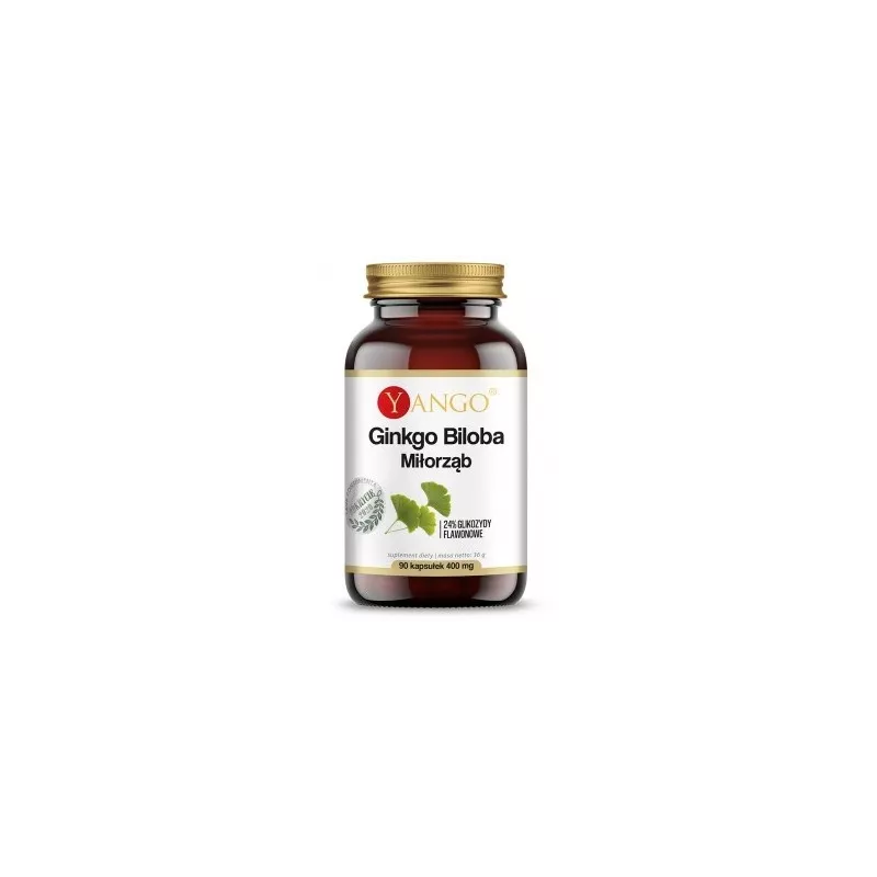 Yango Ginkgo Biloba 310Mg 90 Kap.Miłorząb japoński